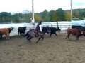 videos de Ranchsorting.AVI
