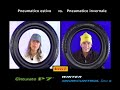 Intervista doppia Pirelli: pneumatico estivo vs. invernale