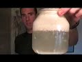 Kefir VS Other Probiotics Part 2