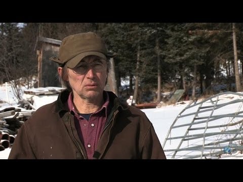 What Does Beef Really Taste Like? | Alaska: The Last Frontier