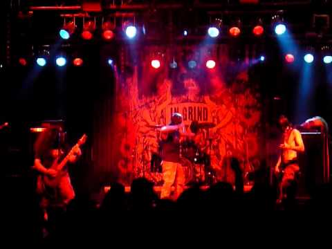 Youtube Video 2UOTaz8vpTA