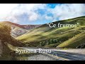 videos de Symona Rusu  