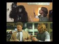 \"Pineapple Express\" vs. \"Banana Express\" comparison shots \"Pineapple Express\" vs. \"Banana Express\" comparison shots
