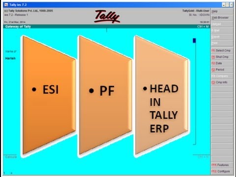 how to calculate pf and esi in india