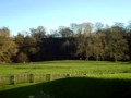 boltonabbey