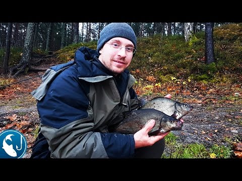 ловля леща в ноябре на видео ловля леща в ноябре на видео