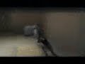 Mod DB - MOTM OCT - Cinema