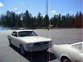Mustang Fastback 1965