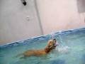 yago en la pileta