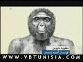 سقوط نظرية داروين - Ardi proves Darwin wrong