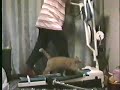 Cat on the Running Machine