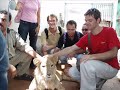 Egyiptom 2006 - Sebészet Nyári Gyakorlat