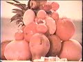 Hawaiian Punch 1973 tv commercial with Punchy Hawaiian Punch 1973 tv commercial with Punchy