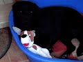 Turko con su bebe