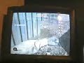 MrCST call of duty4 no scope montage MrCST call of duty4 no scope montage