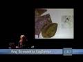 Arq. Benedetta Tagliabue - 1/9