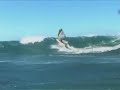 Wild Birds Windsurfing Wild Birds Windsurfing