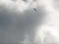 1o. V�o do Antonov