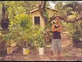 flash back romantico flash back romantico