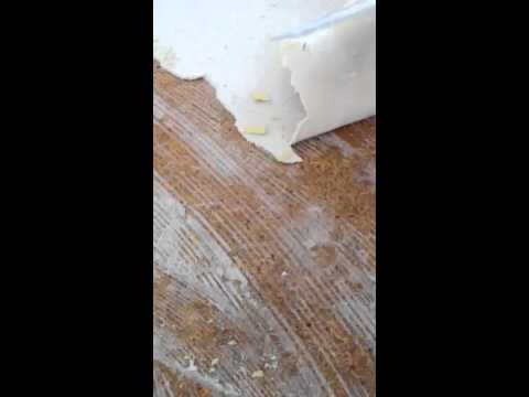 how to dissolve wood glue