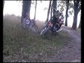 TERNIPE - MURO SHAVO