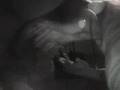 Los Beatniks - Efimera Existrencia