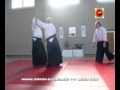 Aikido Luenen 1