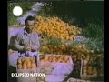 this-is-lebanon1950s04.html