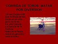 toreo: tradición o sufrimiento animal