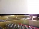 \"Easy\" - The Commadores(clip) \"Easy\" - The Commadores(clip)