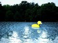 Animacion sobre trayectoria - pato