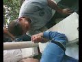 la caida de vicente