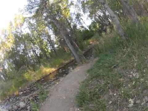 Mountain Biking at Bear Creek Lake Park