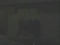 videos de Oath