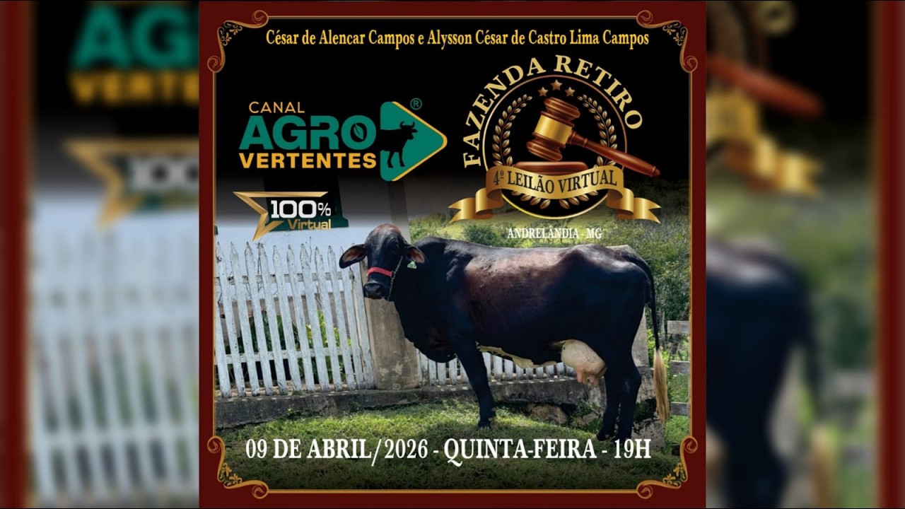 4º LEILÃO FAZENDA RETIRO - ALYSSON CÉSAR & CÉSAR DE ALENCAR (in memorian) - 28/03/2026