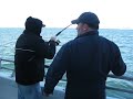 Fishing for bluefish on the Gambler in Point Pleasant, NJ Fishing for bluefish on the Gambler in Point Pleasant, NJ