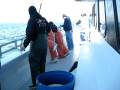 Fishing for bluefish on the Gambler in Point Pleasant, NJ