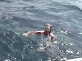 swimming with dolphins. 10 swimming with dolphins. 10