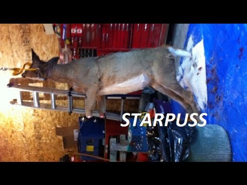 how to up skinning