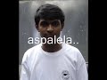 apek-aspalela