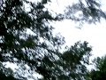 Gustav - just a little wind