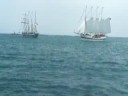 Icebergs threaten Michigan