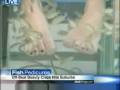 Cat's Scratch Nails Fish Pedicure CBS Chicago News 567 S Route 59 Aurora, IL 60504 630-898-2805 Illinois