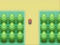 Pokemon Pidgey Only Run Part 2:Grinding Pokemon Pidgey Only Run Part 2:Grinding