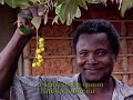 Confira o vídeo de apresentação da Franquia Social Mandalla