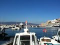Hydra