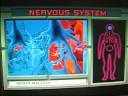3D Body Adventure (MS-DOS) 3D Body Adventure (MS-DOS)