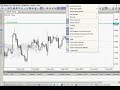 Cursos de Forex en la plataforma NetTradeX