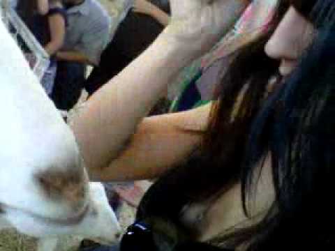 girl killing goat