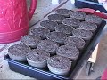 How to Start your vegetable seeds indoors Part 1 of 2